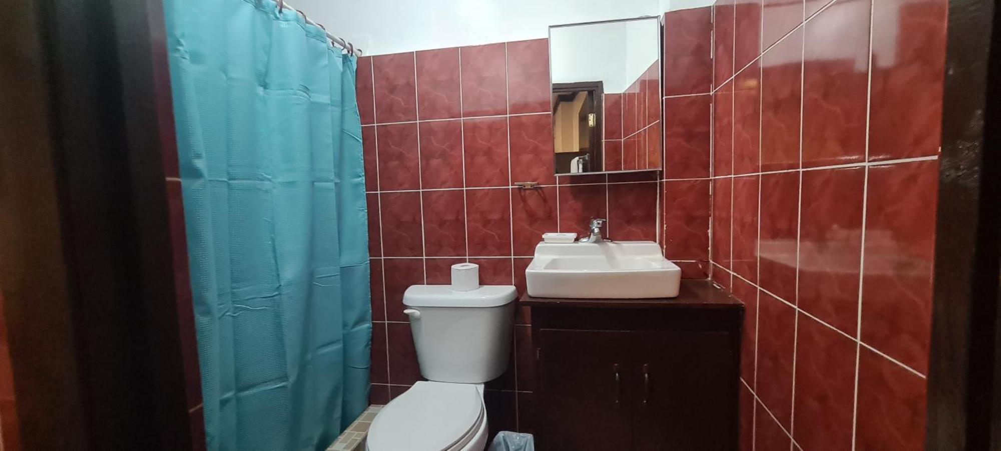 Palau Paradise Comfort Koror Room photo